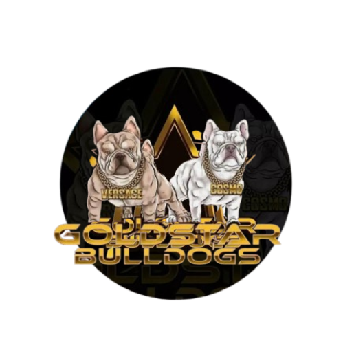 Goldstarbulldog