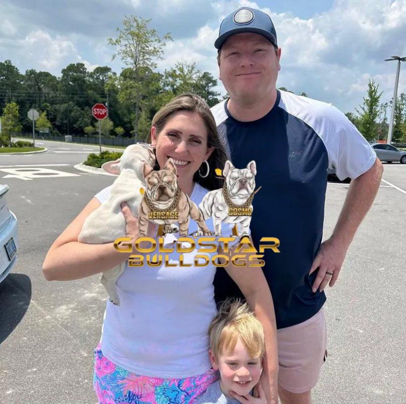 https://goldstarbulldog.com/