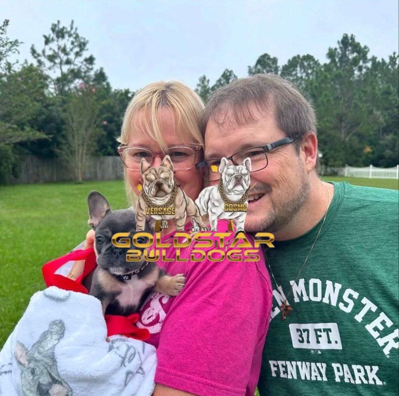 https://goldstarbulldog.com/