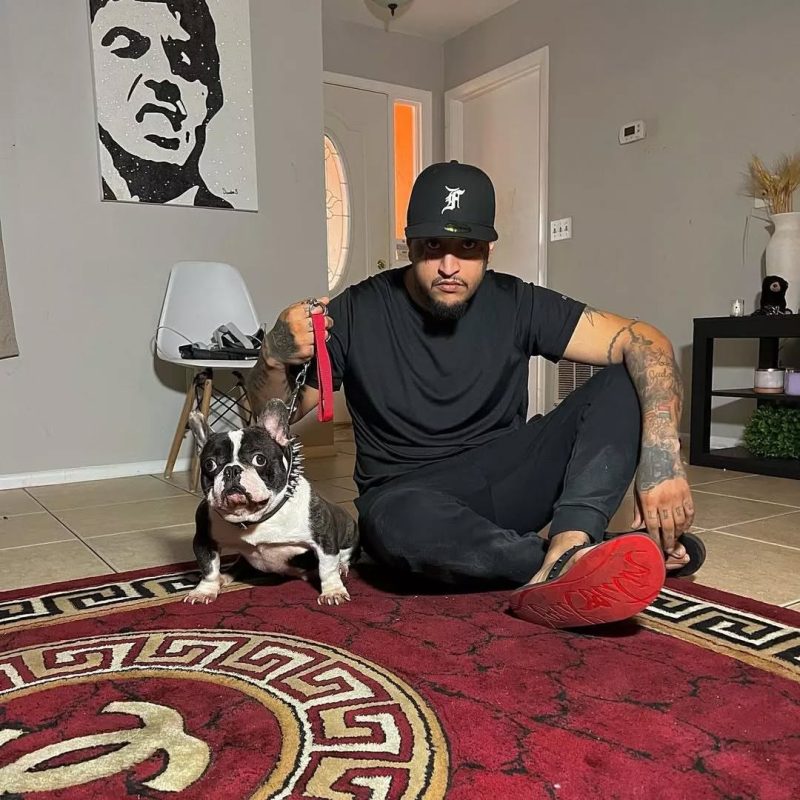 https://goldstarbulldog.com/about-goldstar-bulldog/